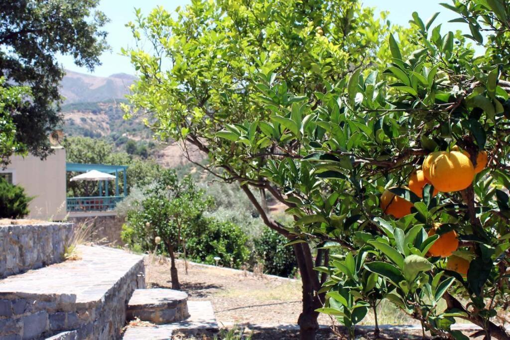 Bougainvilla Fodele Dış mekan fotoğraf