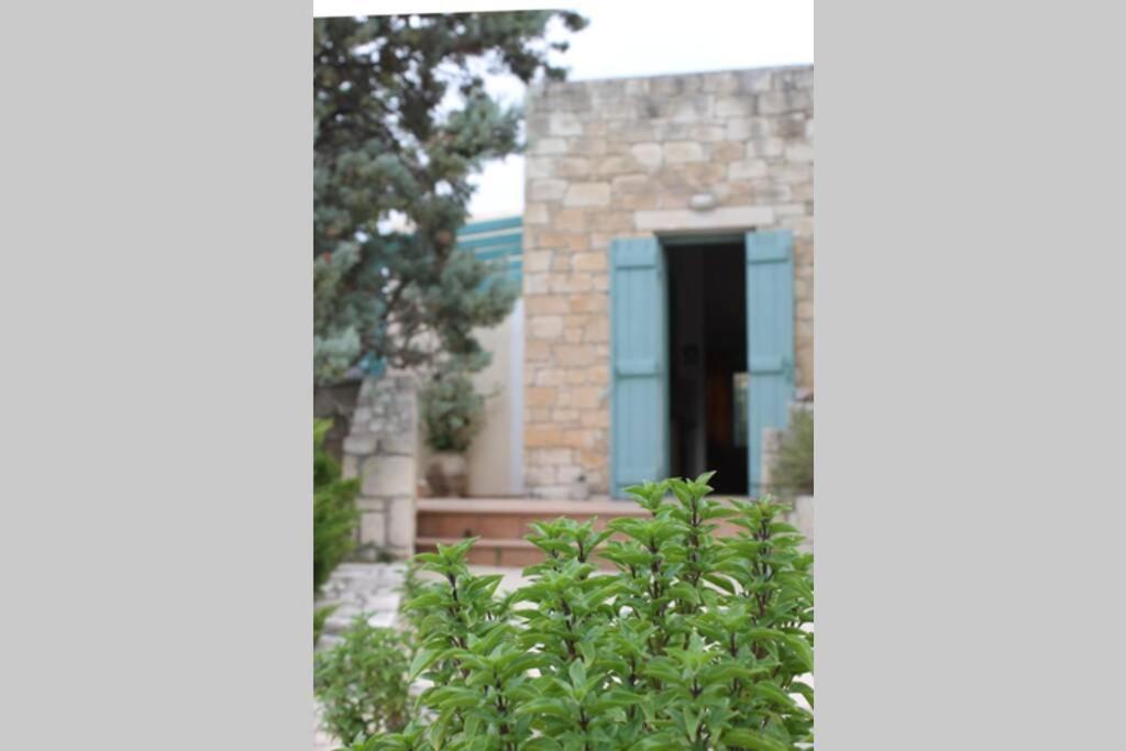 Bougainvilla Fodele Dış mekan fotoğraf